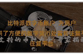 比特派数字币账户 为用户提供了方便的数字货币处置和往复平台