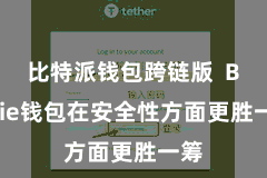 比特派钱包跨链版  Bitpie钱包在安全性方面更胜一筹